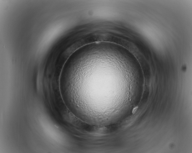 X0000101100189200807031759