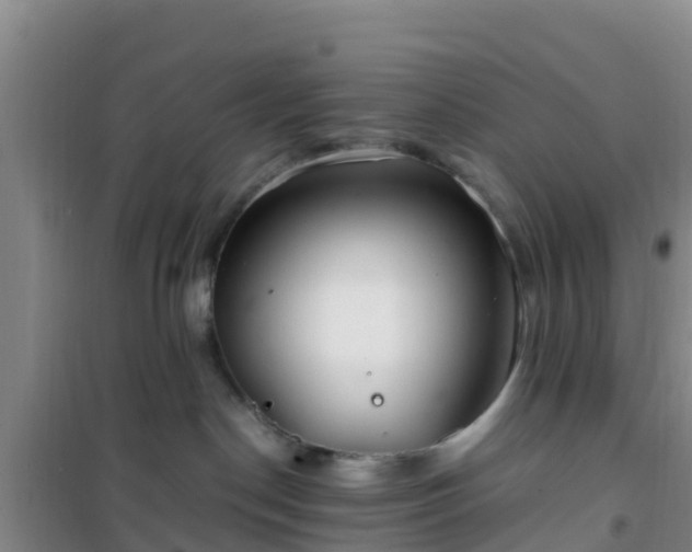 X0000101100190200807031759