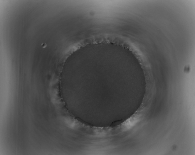 X0000101100192200807031759