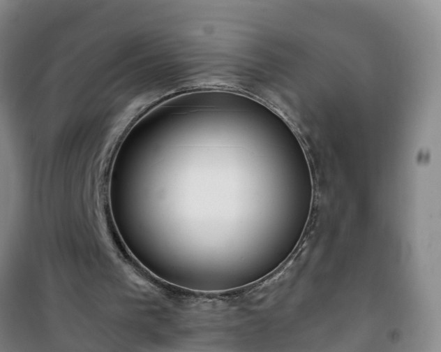 X0000101100193200807031758