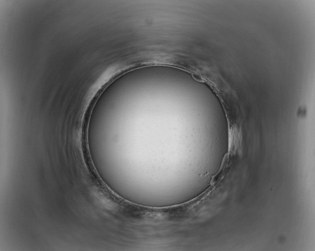 X0000101100195200807031758
