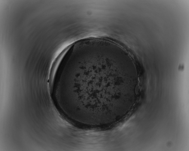 X0000101100196200807031758