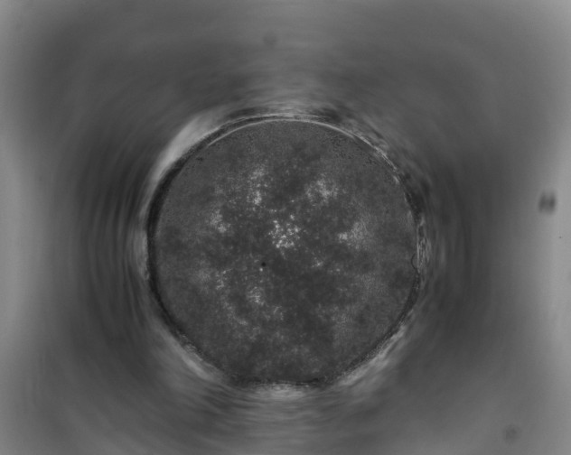 X0000101100198200807031758