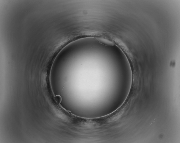 X0000101100201200807031758