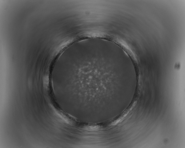 X0000101100202200807031758