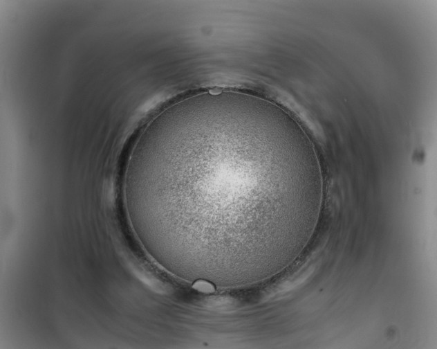 X0000101100203200807031758