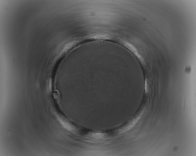 X0000101100205200807031758
