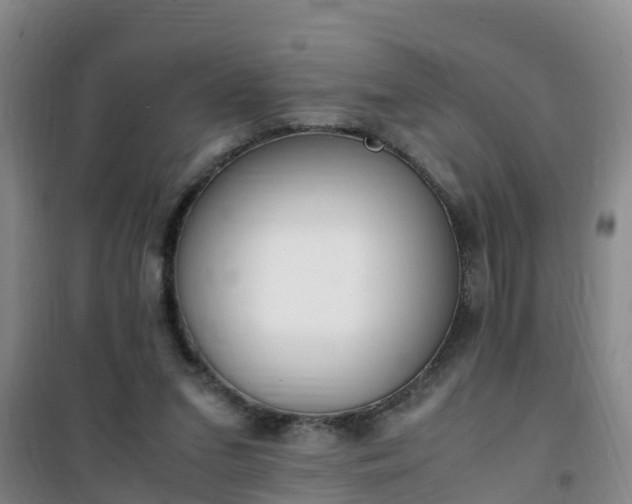 X0000101100207200807031758