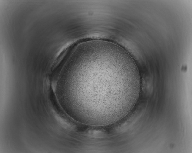 X0000101100208200807031758