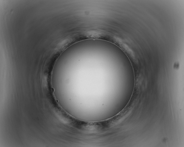 X0000101100209200807031758