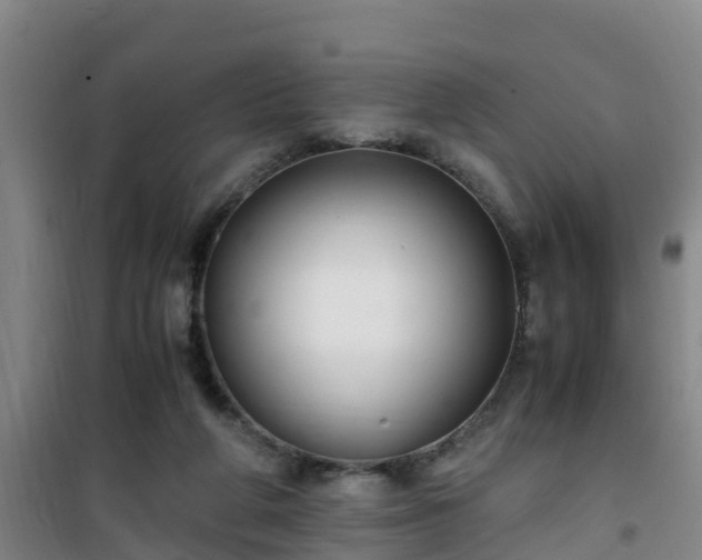 X0000101100210200807031758