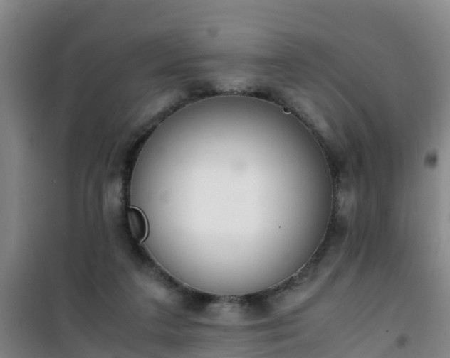 X0000101100211200807031758