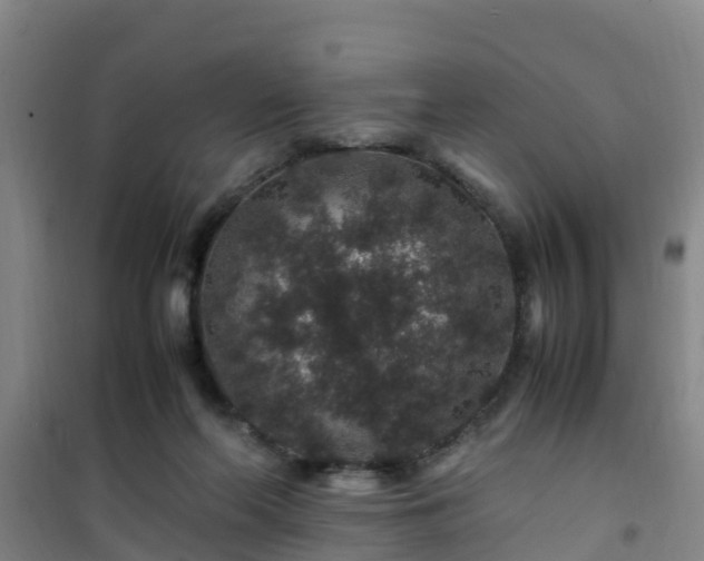 X0000101100214200807031758