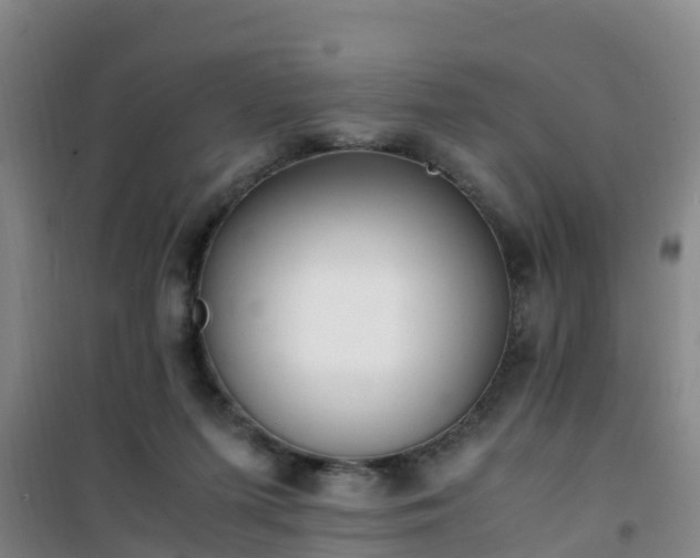 X0000101100215200807031758