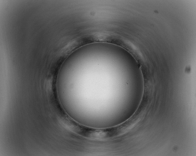 X0000101100217200807031758