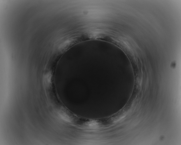 X0000101100219200807031758