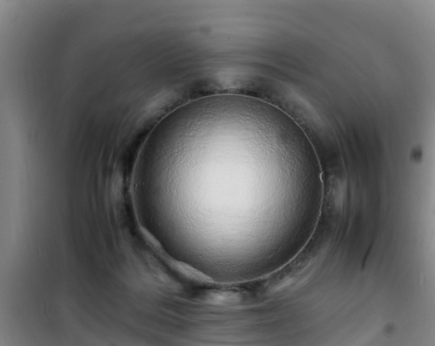 X0000101100220200807031758