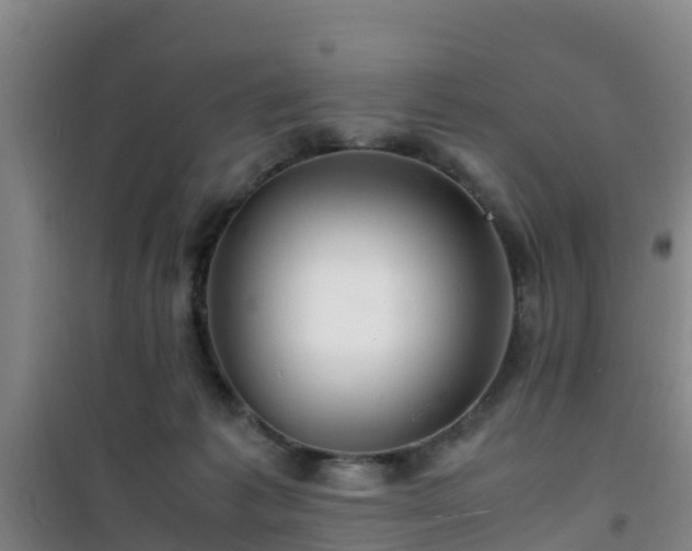 X0000101100221200807031758