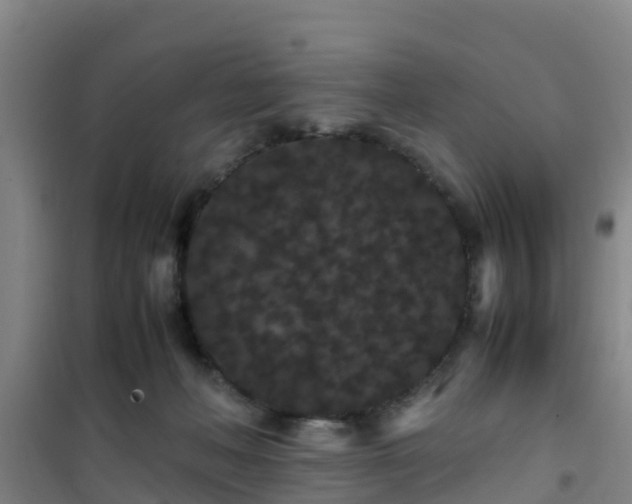 X0000101100222200807031758