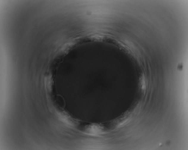 X0000101100223200807031758