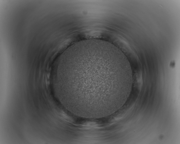 X0000101100224200807031758
