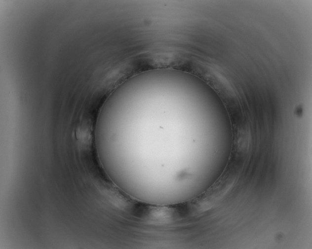 X0000101100226200807031758