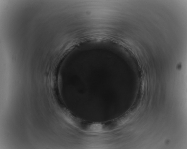 X0000101100227200807031758