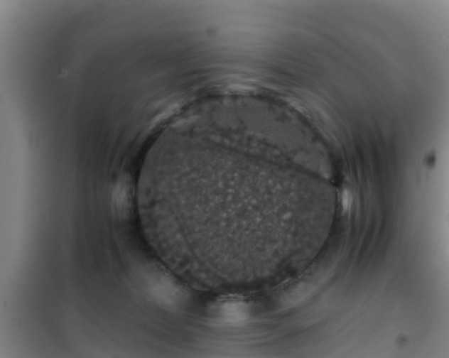 X0000101100228200807031758