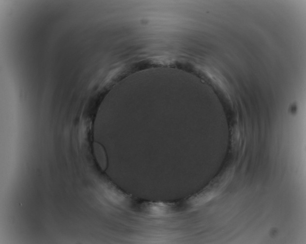 X0000101100229200807031758