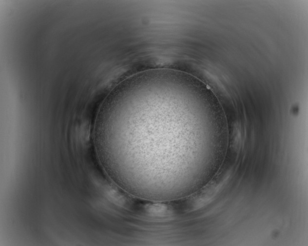 X0000101100230200807031758