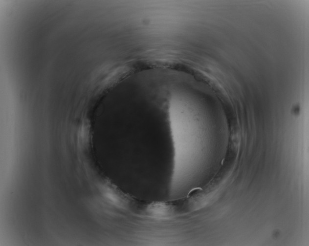 X0000101100231200807031758