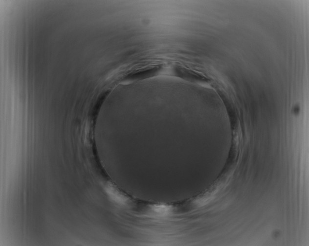 X0000101100233200807031758