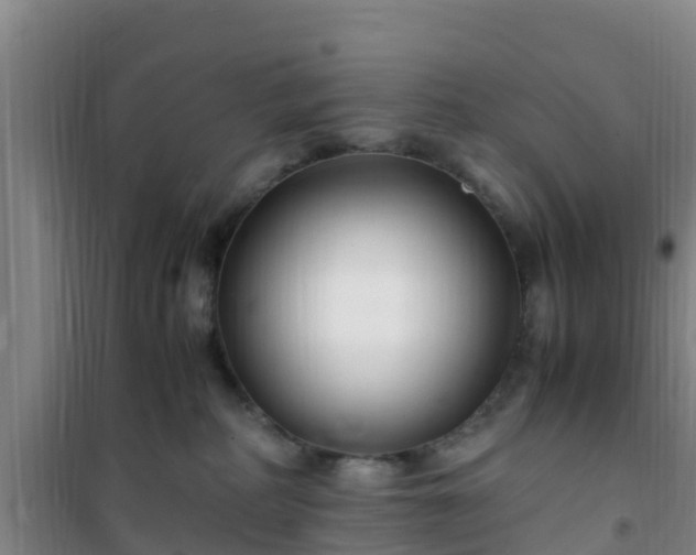 X0000101100234200807031758