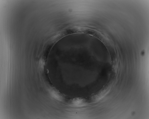 X0000101100235200807031758