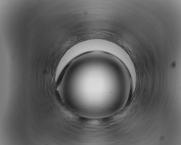 X0000101100237200807031758