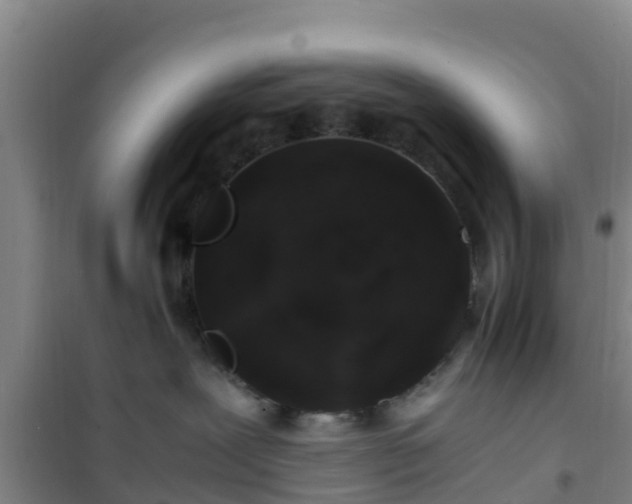 X0000101100239200807031757