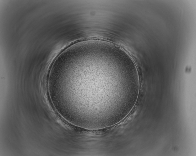 X0000101100241200807031757