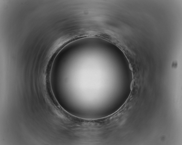 X0000101100242200807031757