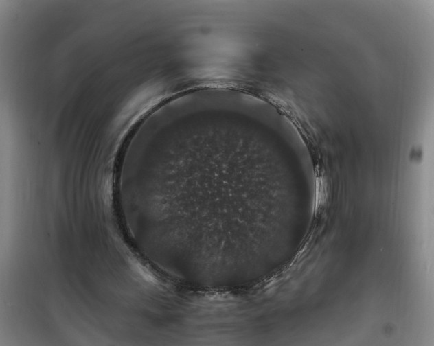 X0000101100243200807031757