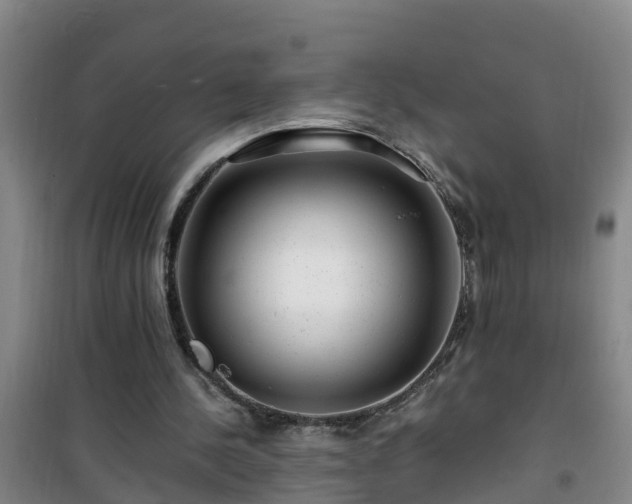 X0000101100244200807031757