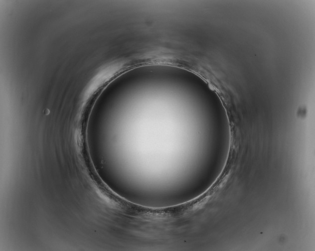 X0000101100245200807031757