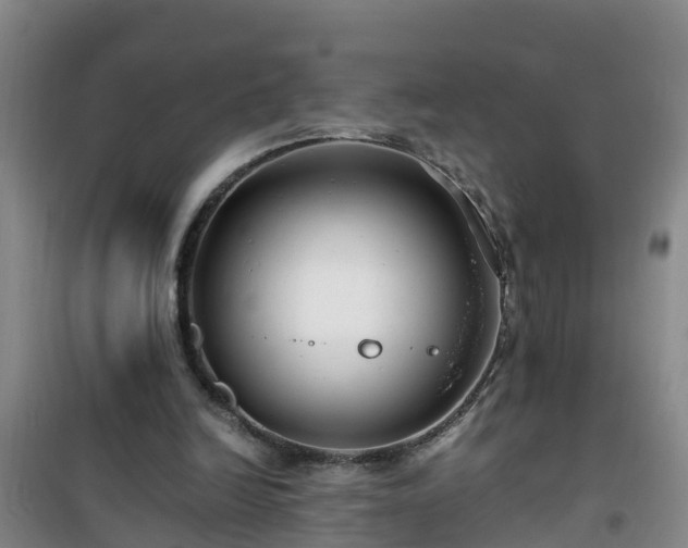 X0000101100246200807031757