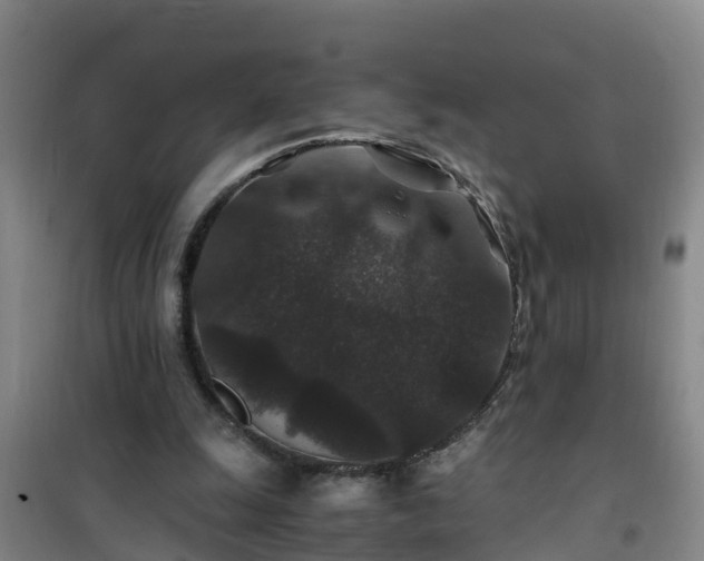 X0000101100247200807031757