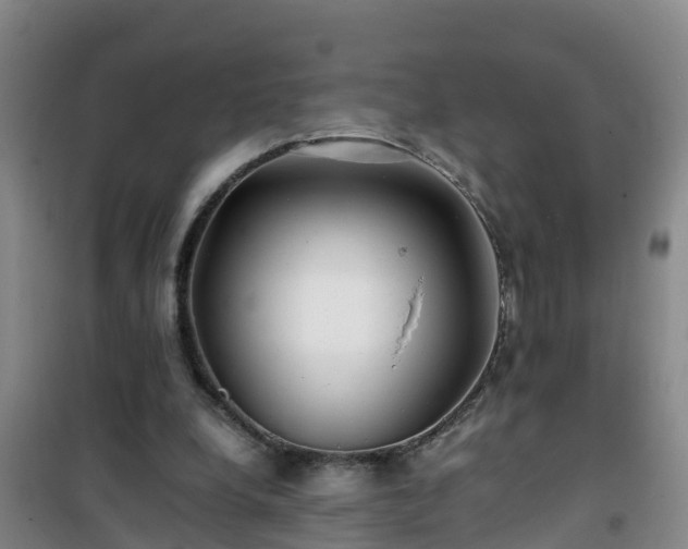 X0000101100248200807031757