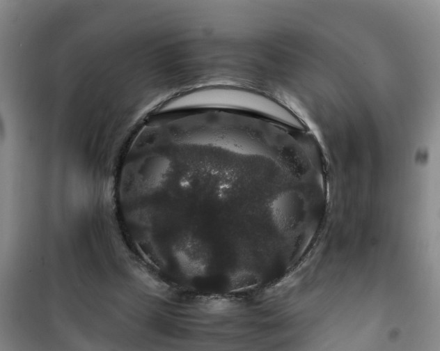 X0000101100249200807031757