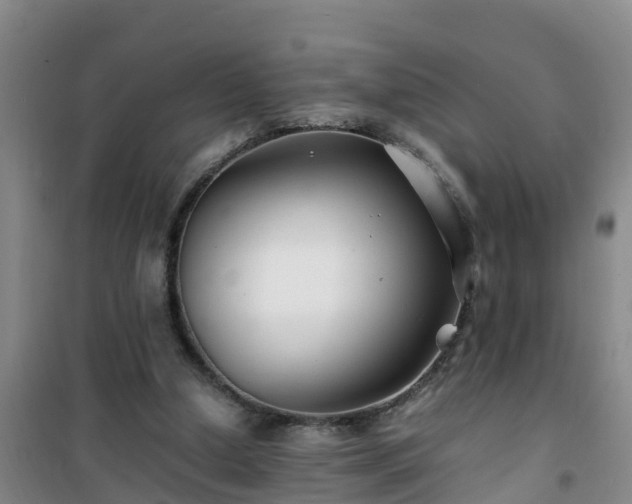 X0000101100250200807031757