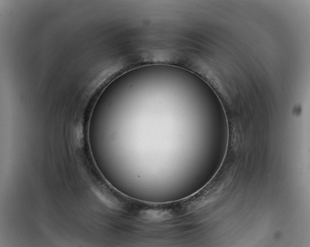 X0000101100251200807031757