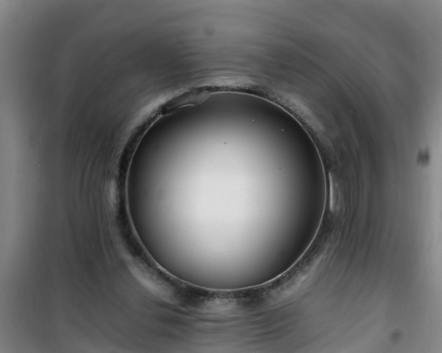 X0000101100252200807031757