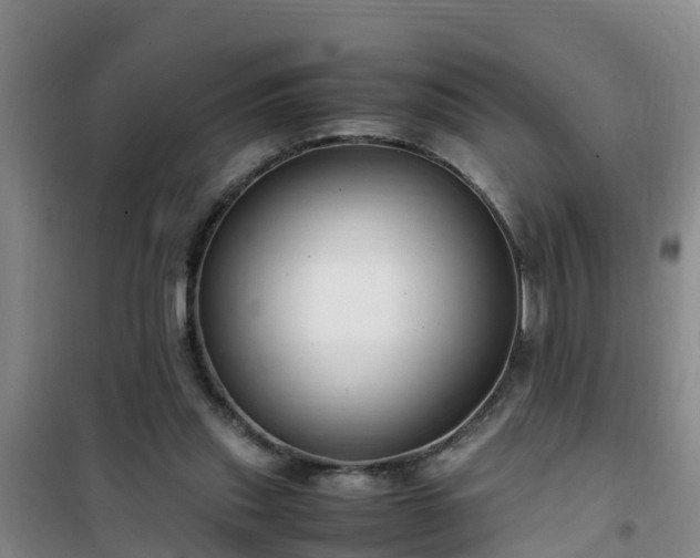 X0000101100253200807031757