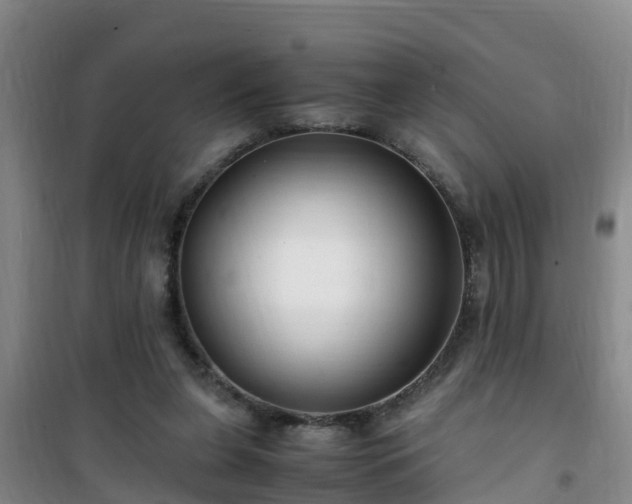 X0000101100255200807031757